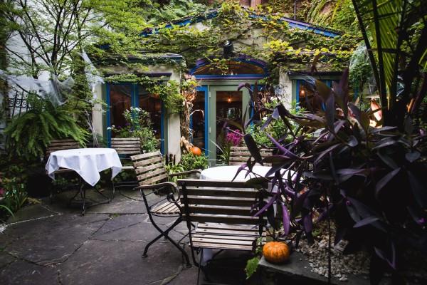 Cafe Matisse Garden 1