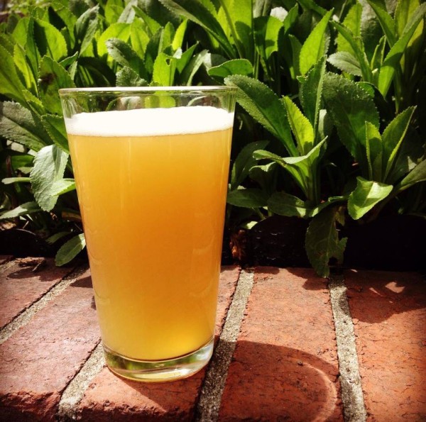 Two Ton Brewing