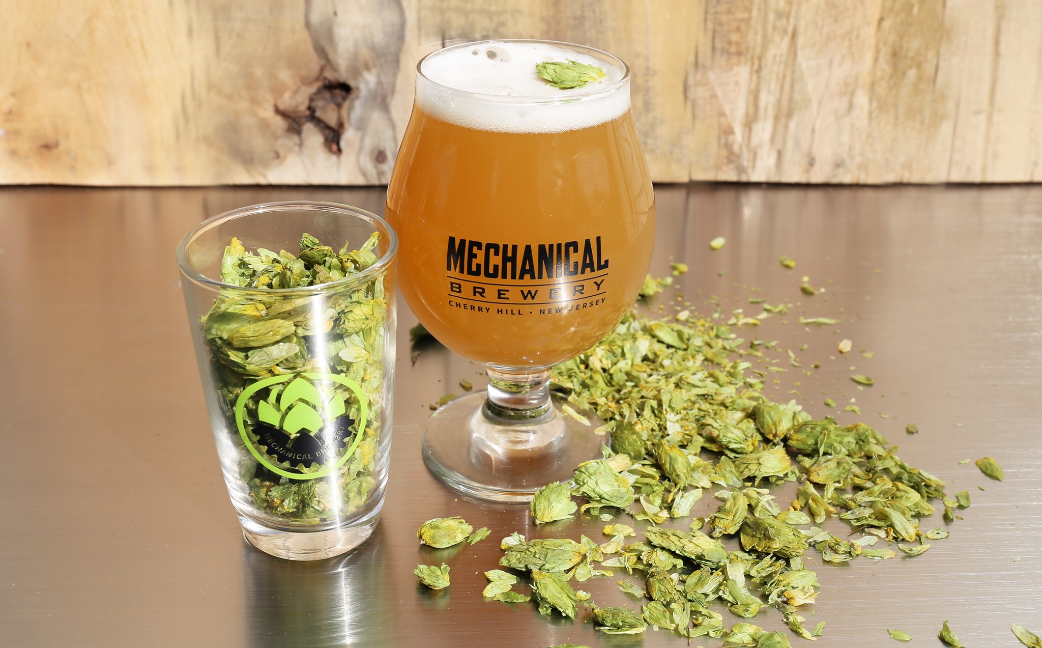 Jersey Breweries Medal at Great American Beer Festival